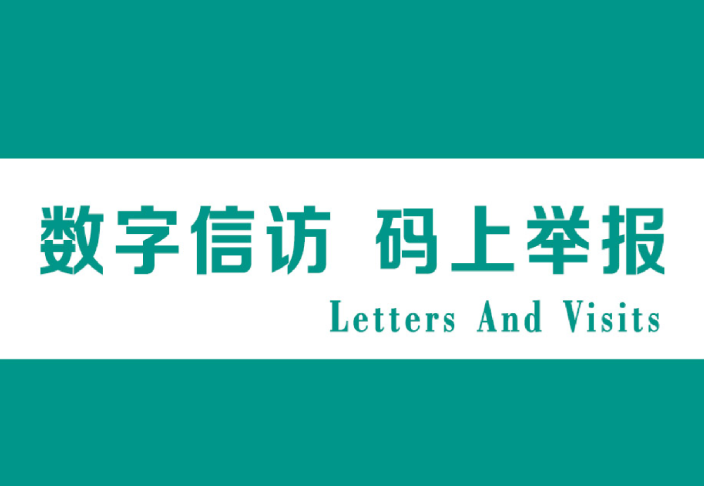 巡察办 数字信访 码上举报 程序系统